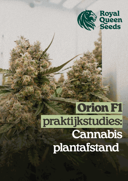 Plant_spacing_be