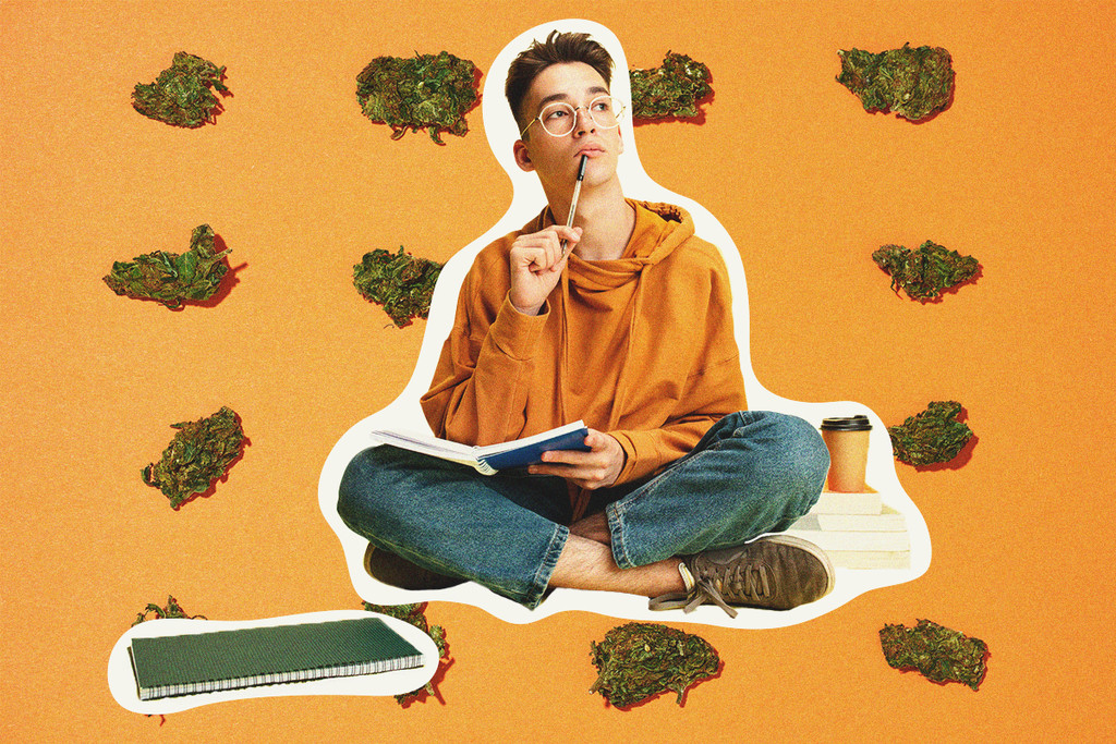 Ga je van cannabis werkelijk beter studeren?