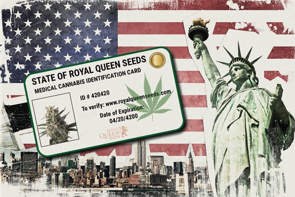 Hoe krijg je een medicinale cannabiskaart in de Verenigde Staten?