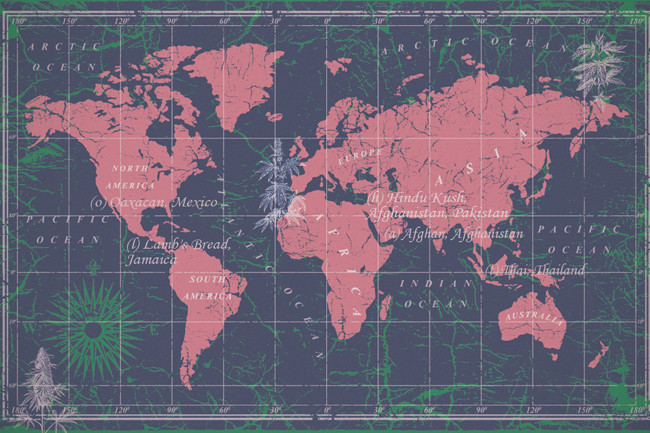 Zit er logica in de bizarre namen van cannabissoorten?