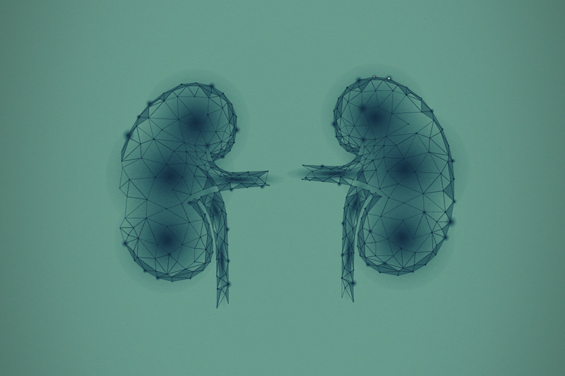 Onderzoek naar cannabinoïden en nierziekten
