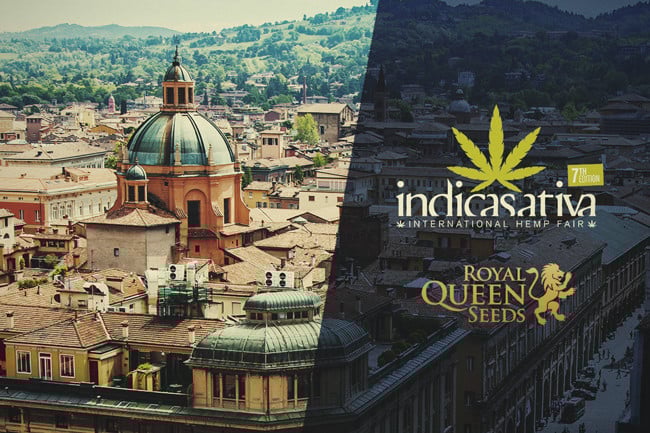 RQS uitgeroepen tot Beste zadenbank op de beurs Indicasativa