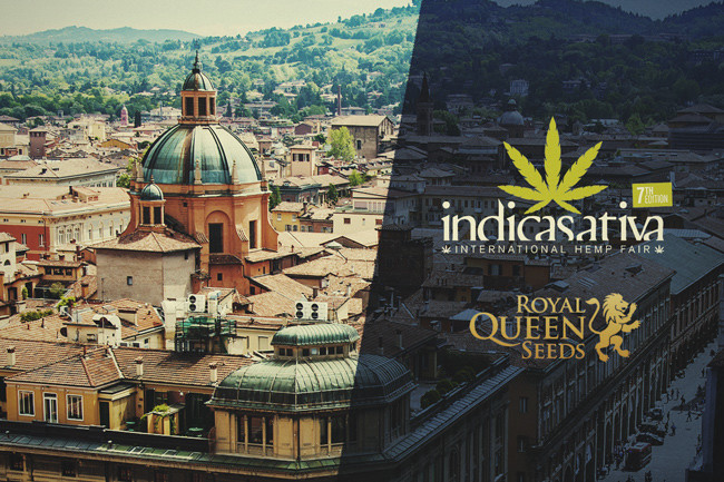 RQS uitgeroepen tot Beste zadenbank op de beurs Indicasativa