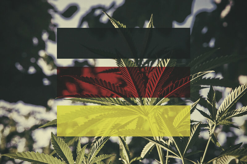 Hoe kweek je cannabis buiten in Duitsland? Per maand bekeken