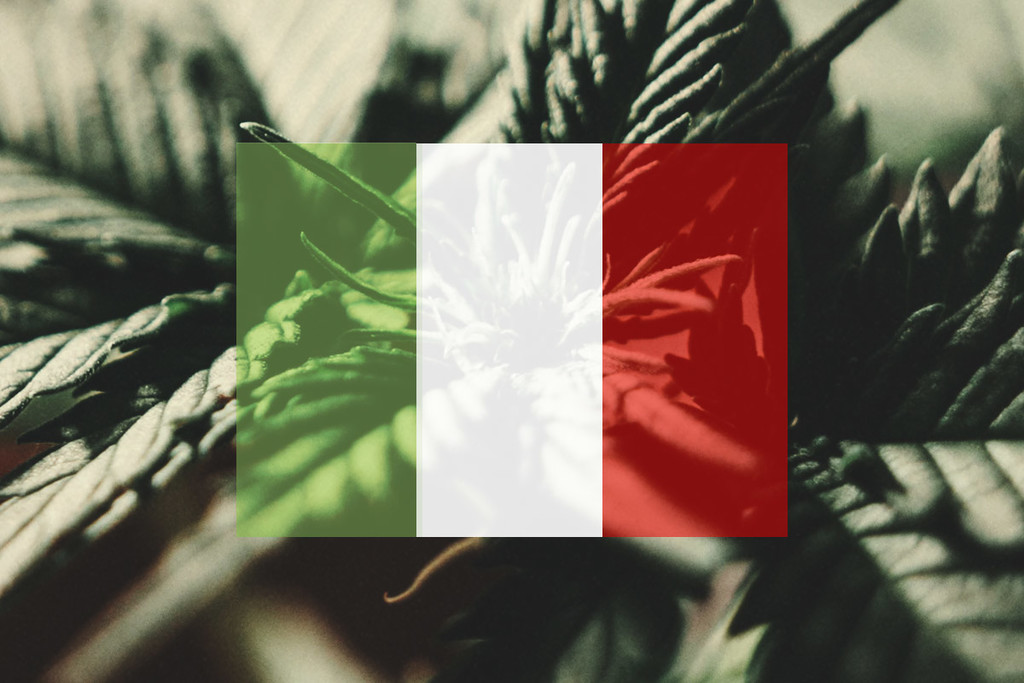 Hoe Kweek Je In Italië Buiten Wiet? Per Maand Bekeken