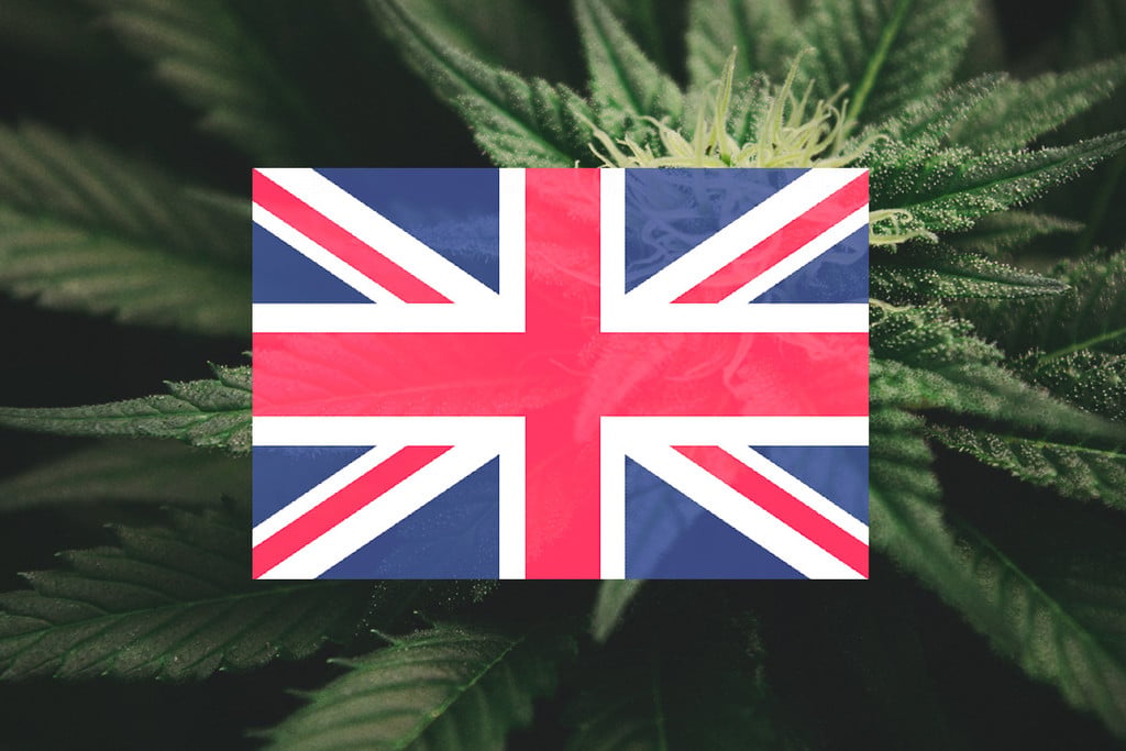 Buiten Cannabis Kweken In Het VK: Maandelijkse Gids [2026]