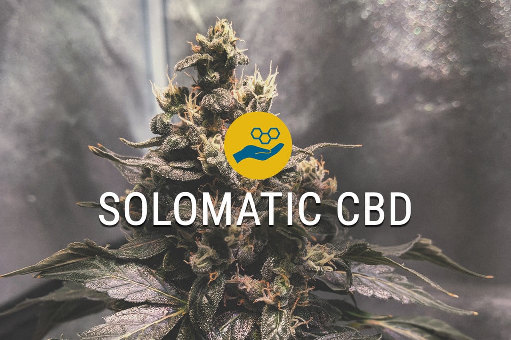 Solomatic CBD Wietzaadjes