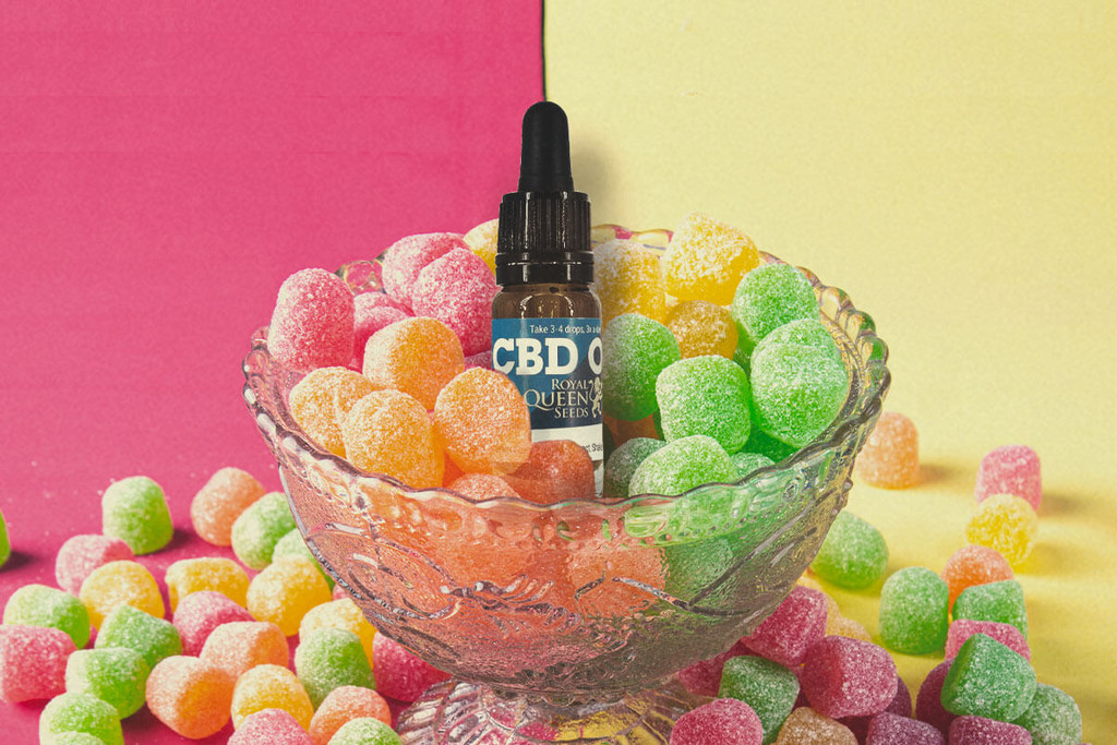 CBD Gummiberen: Alles wat Je Moet Weten