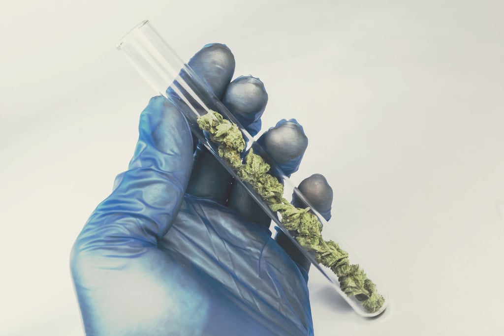 Cannabisonderzoek: hoe staan belemmeringen vooruitgang in de weg?