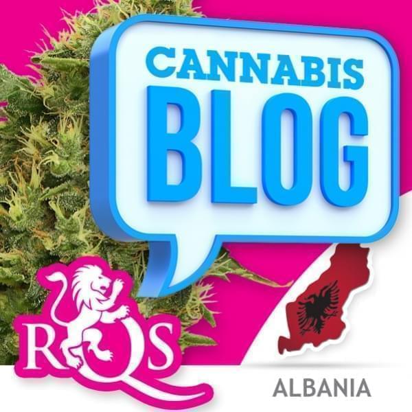 Cannabis in Albanië