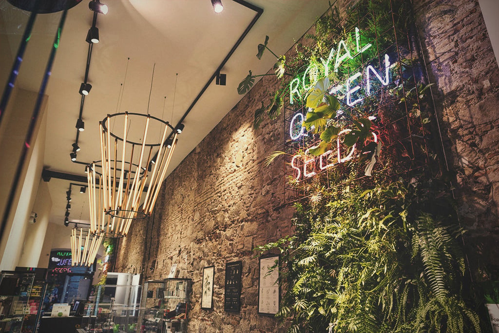 Werken als budtender: alles wat je weten moet