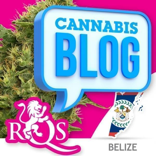 Cannabis in Belize