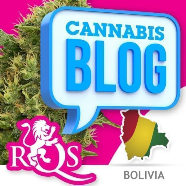 Cannabis in Bolivia
