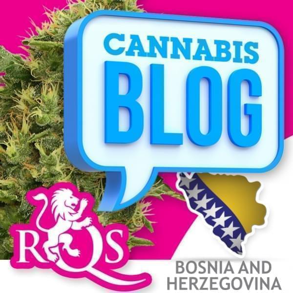 Cannabis in Bosnië en Herzegovina