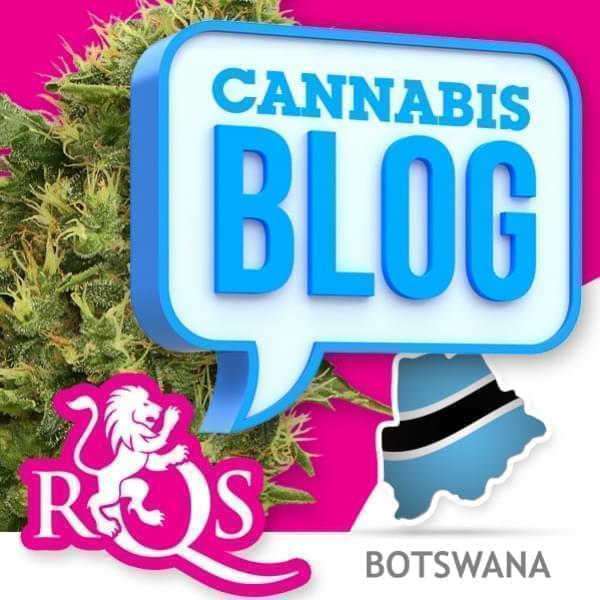 Cannabis in Botswana