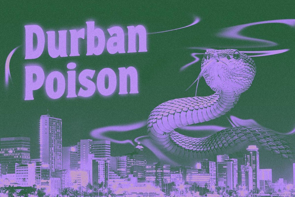 Durban Poison Strain: een legendarisch landras
