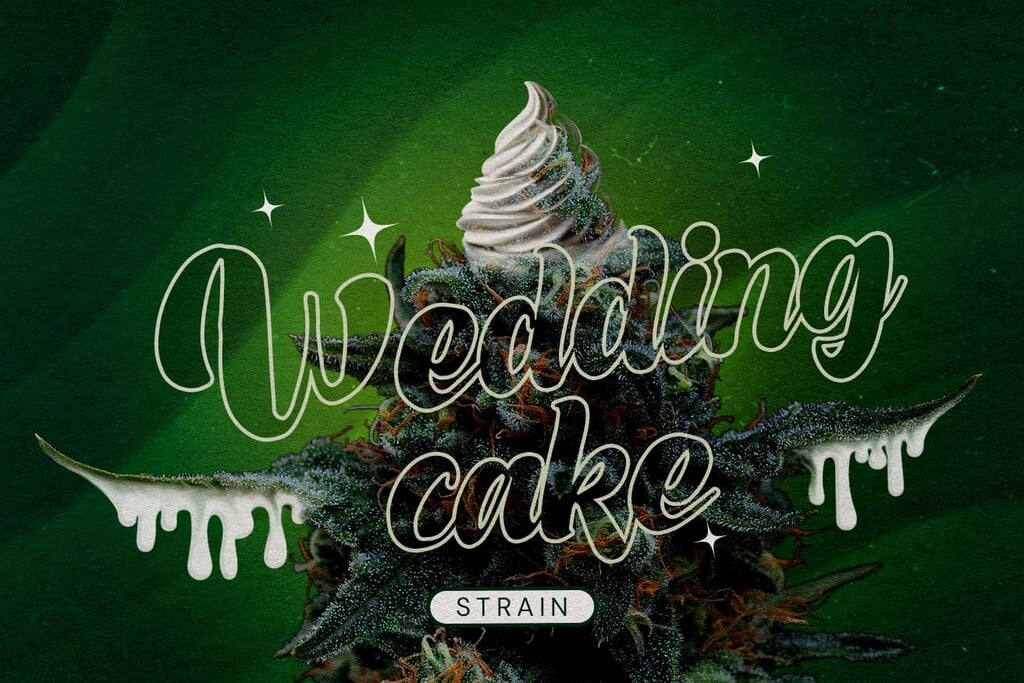 Wedding Cake-wietsoort review