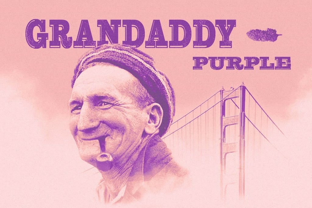Granddaddy Purple: een legendarische stone
