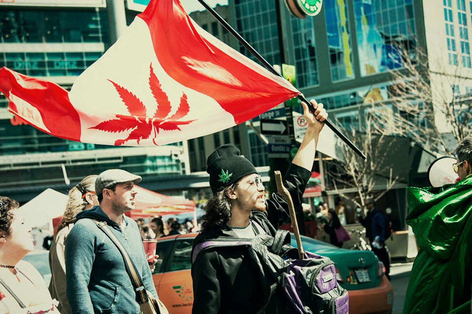 Legale cannabis in Canada: Een jaar later (2020 update)