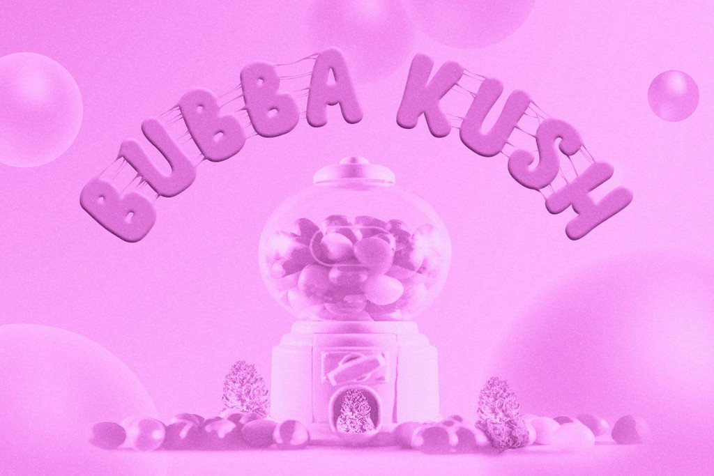 Bubba Kush: een legendarische indicahybride 
