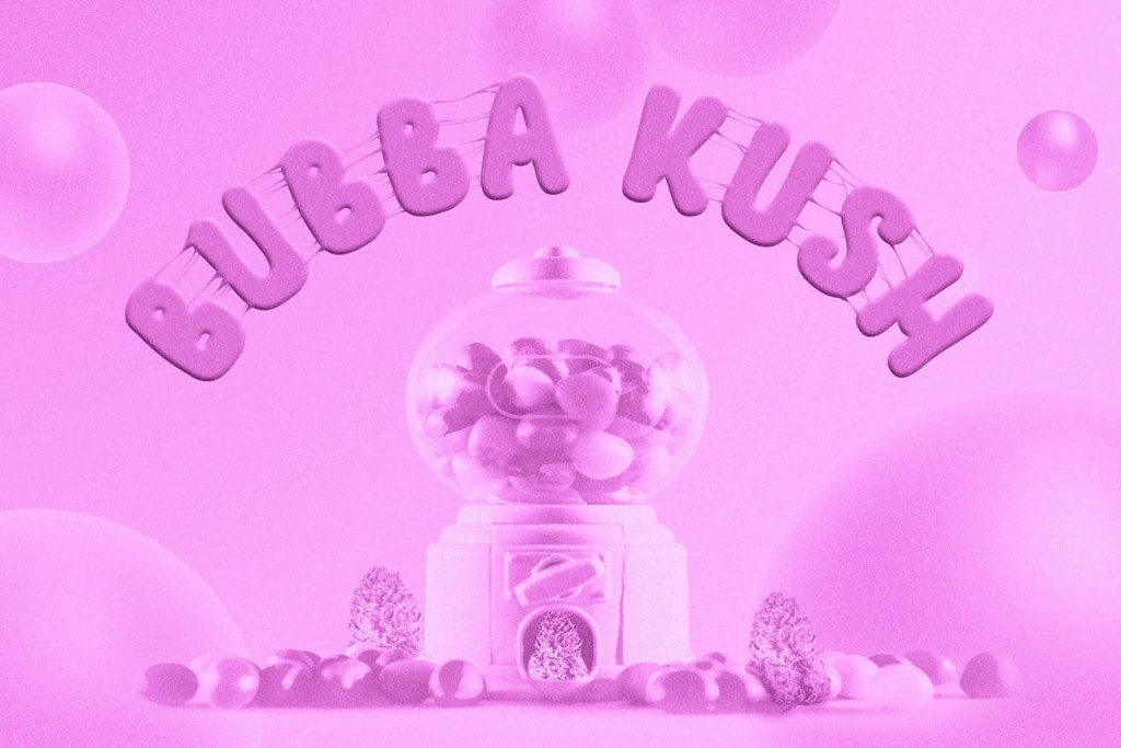 Bubba Kush: een legendarische indicahybride