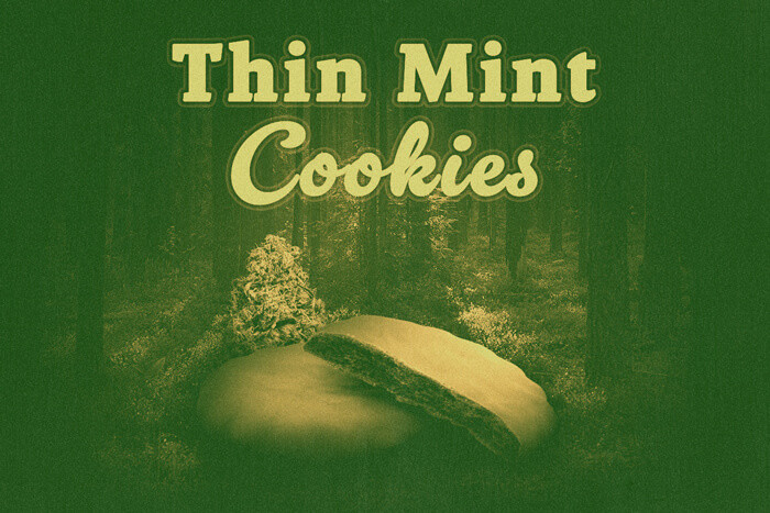 Thin Mint Cookies: een goddelijke GSC