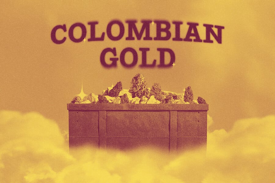 Colombian Gold: de gouden standaard voor landras-cannabis