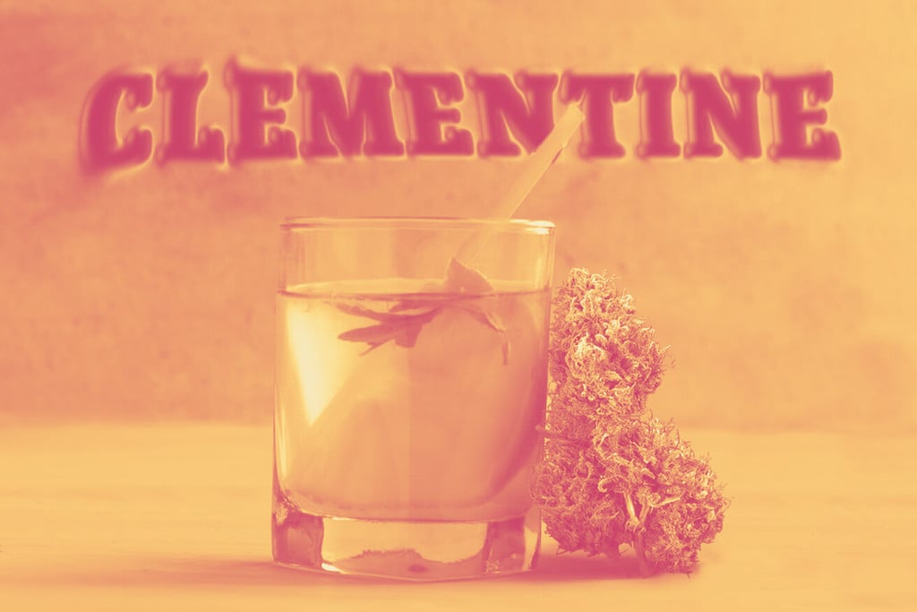Clementine: ontdek deze fruitige soort wiet