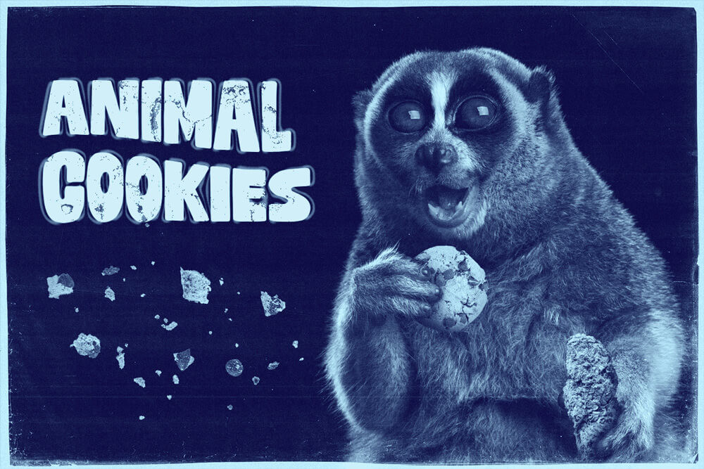 Animal Cookies: een van de allerlekkerste hybriden