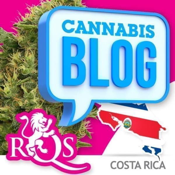 Cannabis in Costa Rica