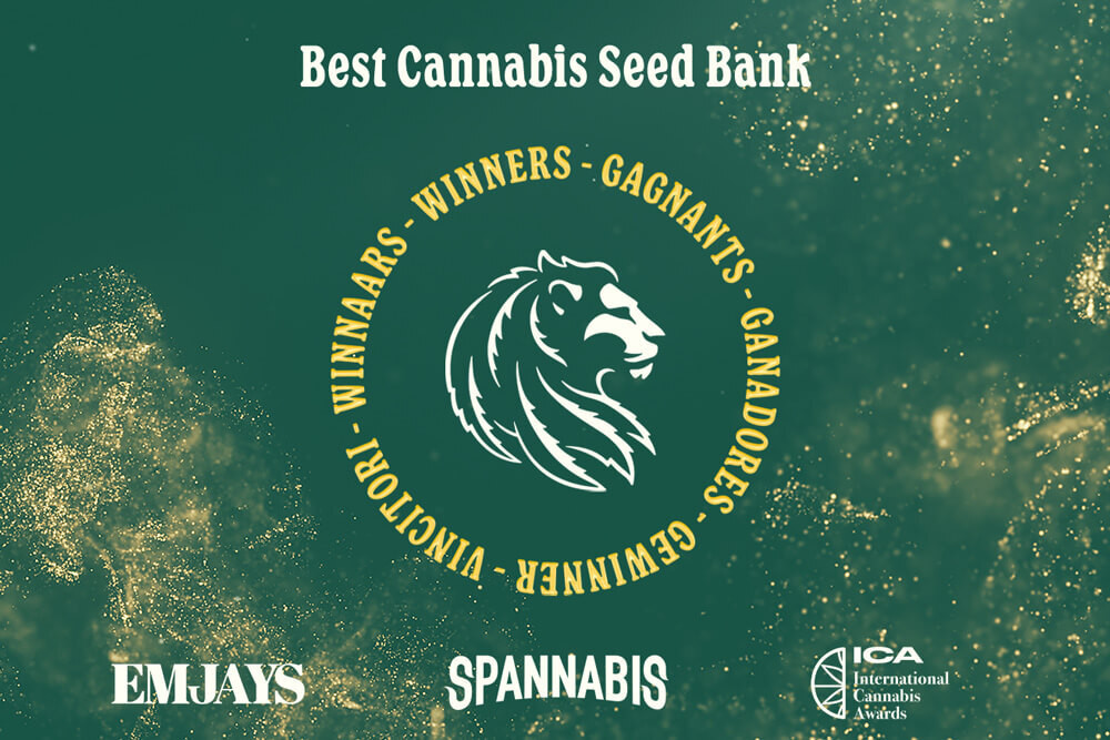RQS wint Best Seed Bank award op Spannabis, de ICA en EMJAYS