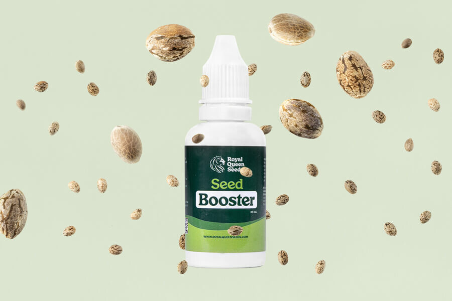 Hoe gebruik je Cannabis Seed Booster voor de kieming?