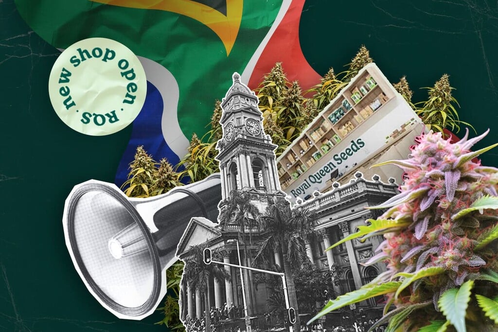 Royal Queen Seeds opent winkel in Durban en brengt eersteklas wietzaadjes naar Zuid-Afrika