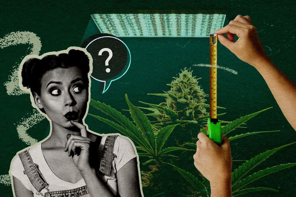 Afstand van LED lampen: hoe ver moeten groeilampen van planten verwijderd zijn in elke fase?