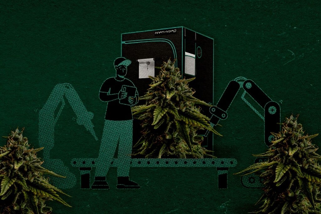 120 x 120 cm Kweektent Setup: hoeveel planten en hoe maximaliseer je de oogst?