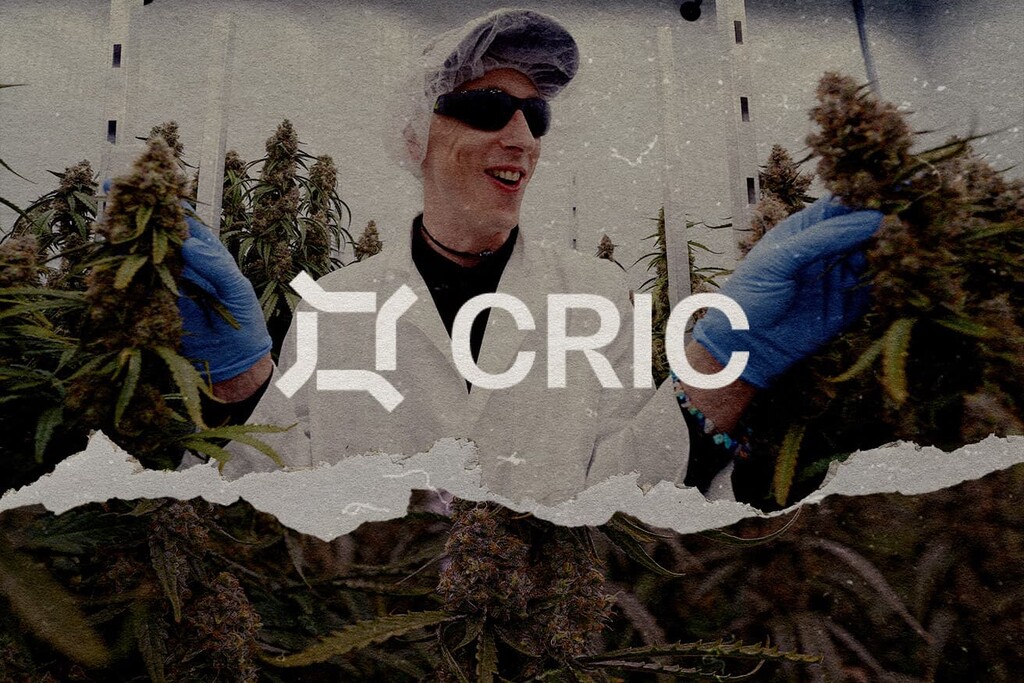 Cannabis Conversations: CRIC Labs test Medusa F1 & Orion F1 Autoflowers