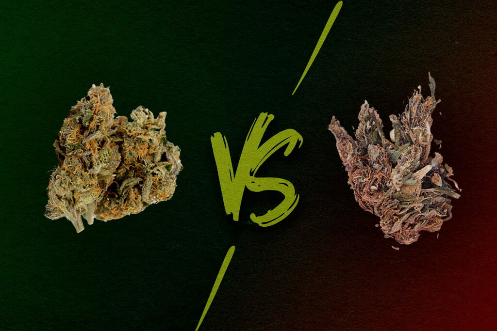 Goede versus slechte wiet: wat is reggie, mids en loud?