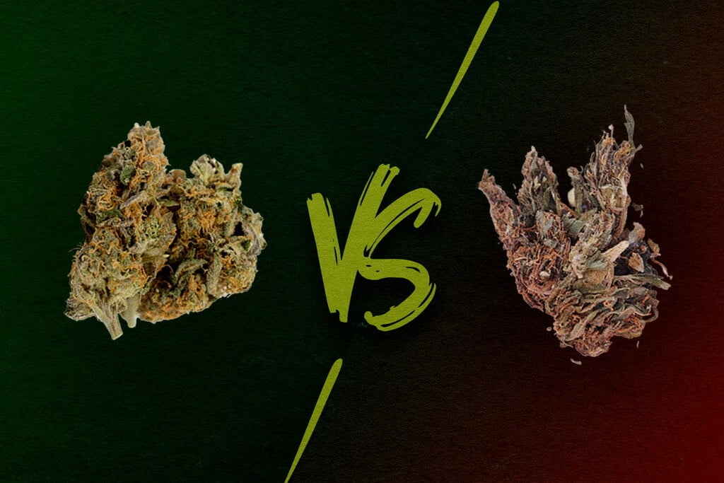Goede versus slechte wiet: wat is reggie, mids en loud?