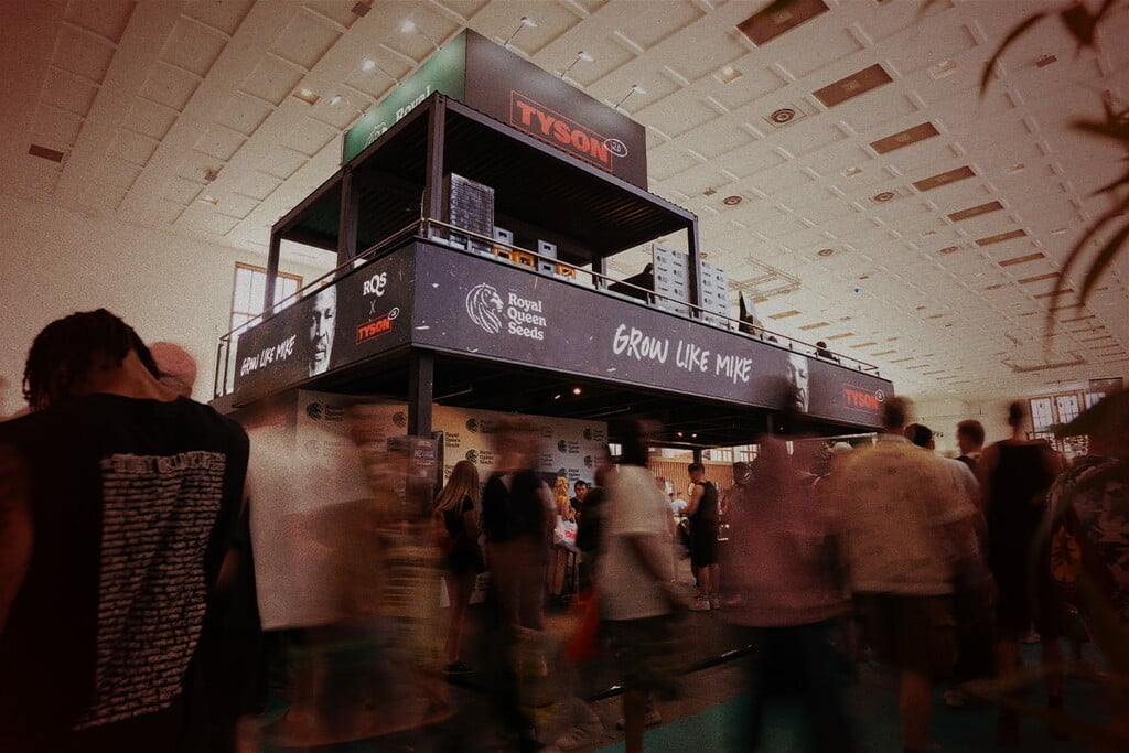 Mike Tyson x RQS op Mary Jane 2025 - legendarische smoke sessie