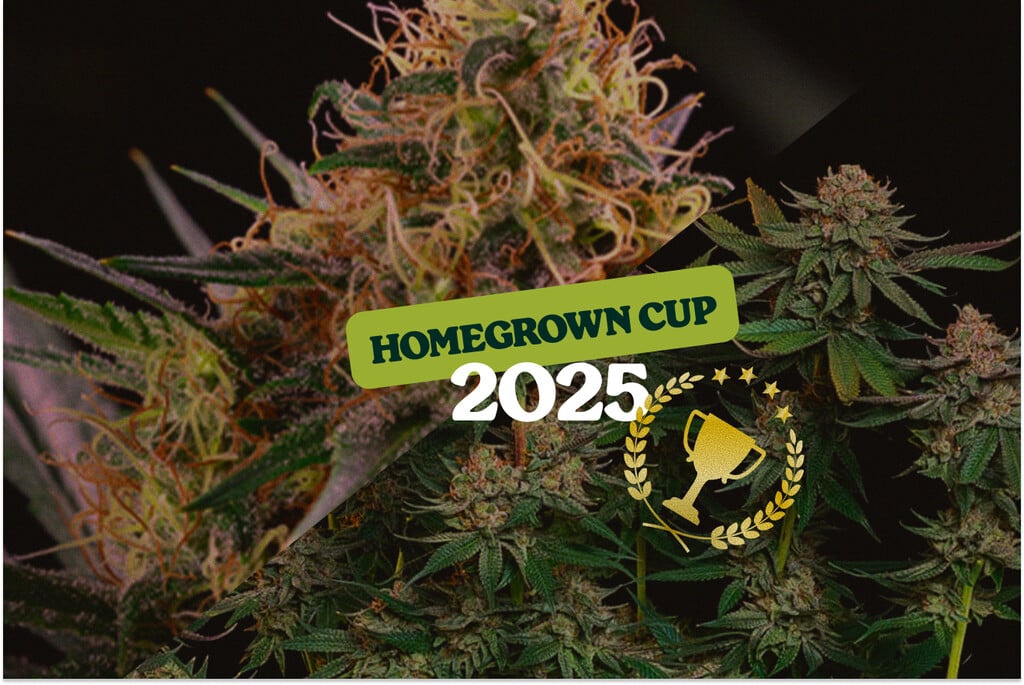 RQS op de HomeGrown Cup 2025: Pink Runtz en Sundae Driver in de prijzen