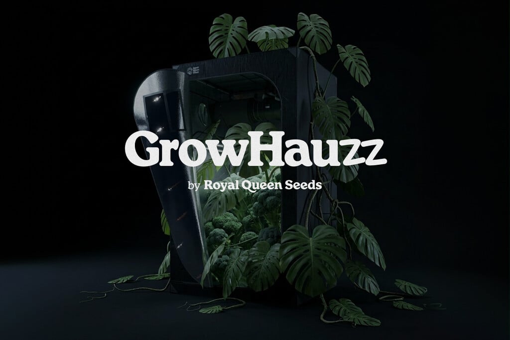 RQS groeit: Introductie van GrowHauzz