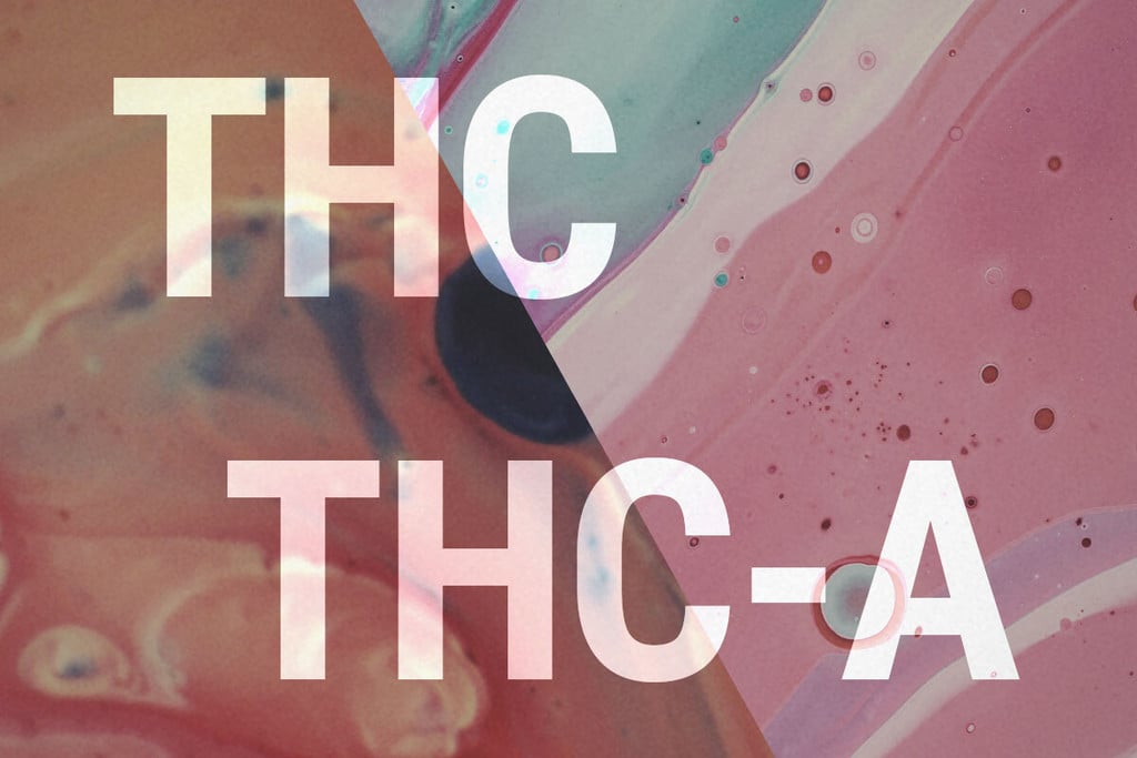 THCA en THC: Wat Zijn de Verschillen?