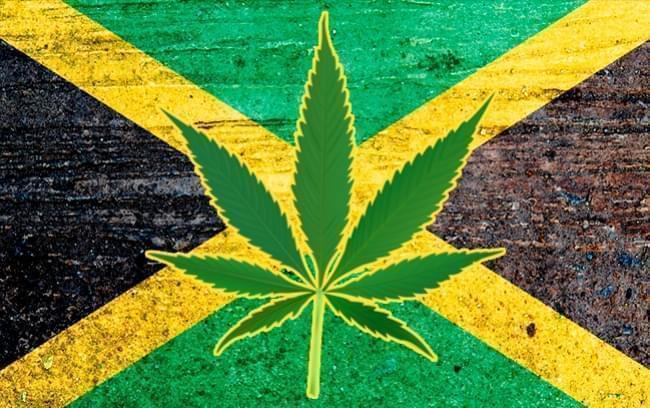 Jamaicaanse cannabis Decriminalisering Effent De Weg Voor Bloeiende Toeristische Wiet Sector