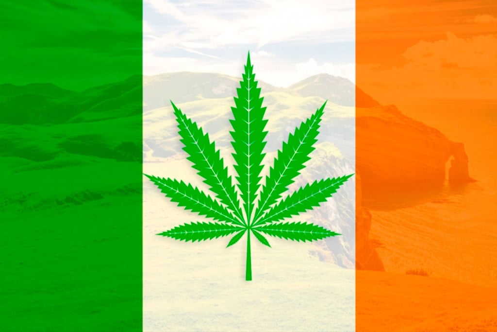 Ierland Gaat Cannabis Voor Medicinaal Gebruik Legaliseren