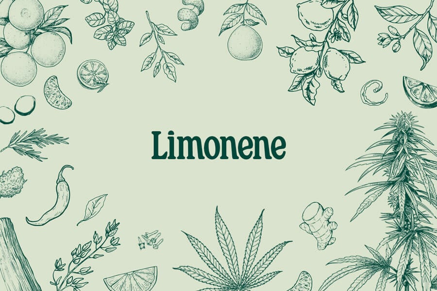 Limoneen: een verfrissende terpeen met enorme potentie