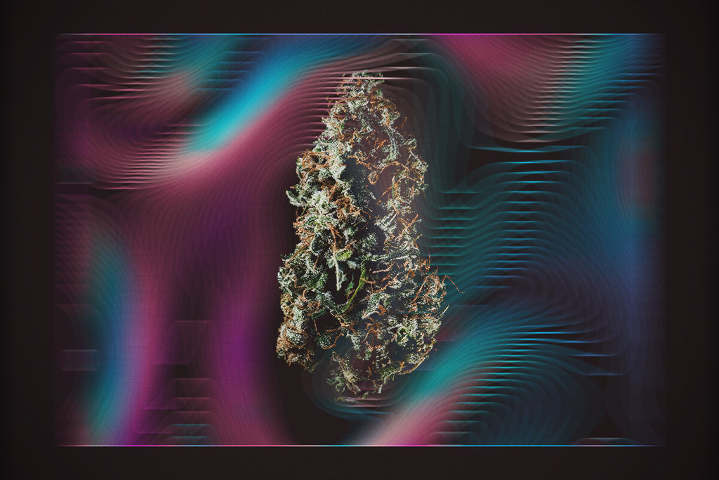 www.royalqueenseeds.be