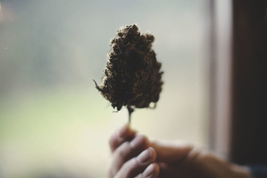 Hoe Je Goede Marihuana Toppen Van Slechte Onderscheidt