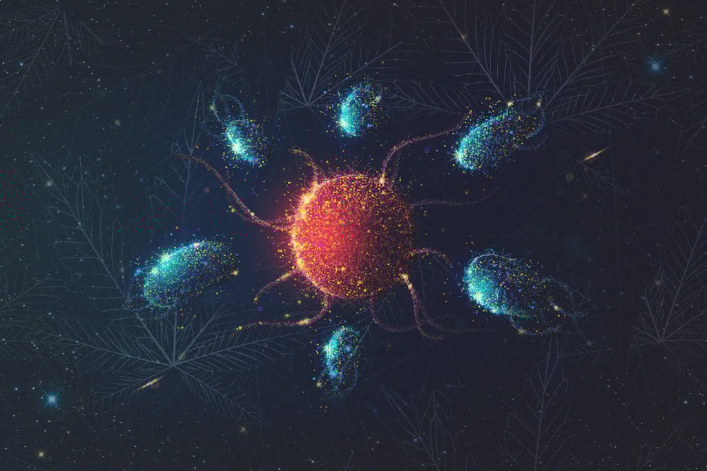 Hoe beïnvloedt wiet je immuunsysteem?