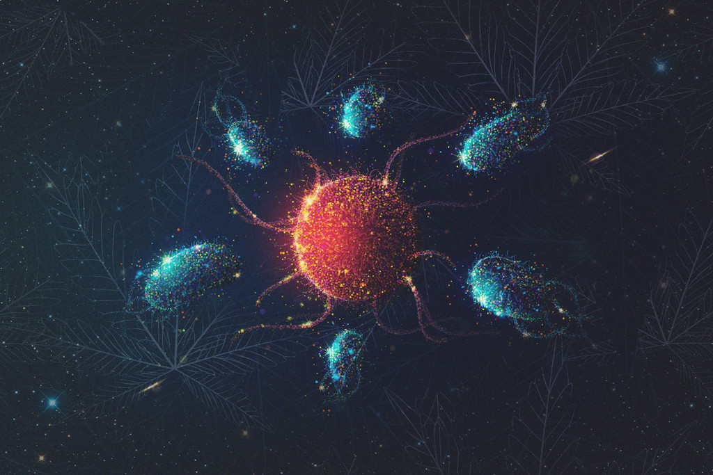 Hoe beïnvloedt wiet je immuunsysteem?