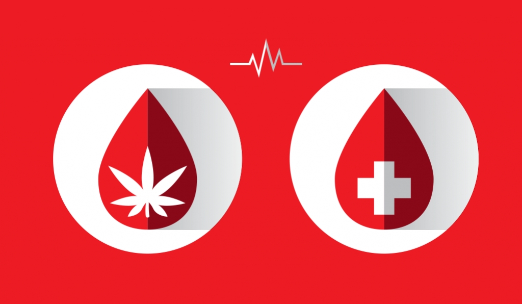 Bloed Doneren Als Cannabisgebruiker
